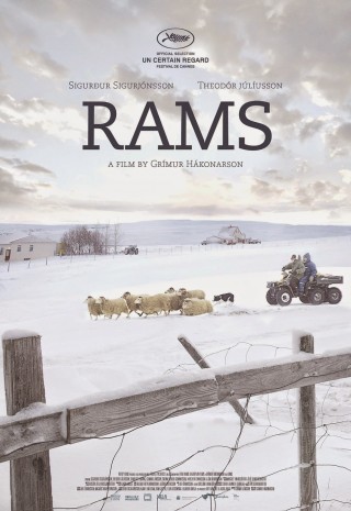 Rams